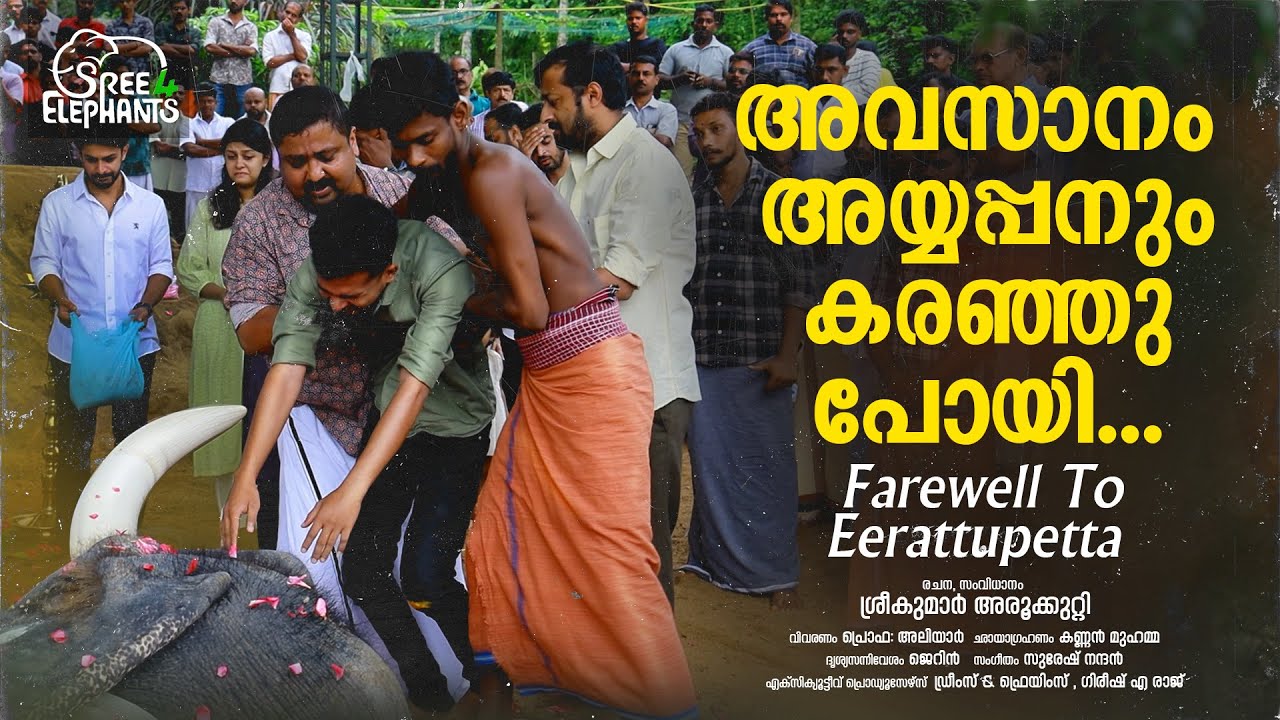 ആരെയും കരയിക്കില്ല എന്നായിരുന്നു  അയ്യപ്പന്റെ വാക്ക്... പക്ഷെ..? | Sree 4 Elephants
