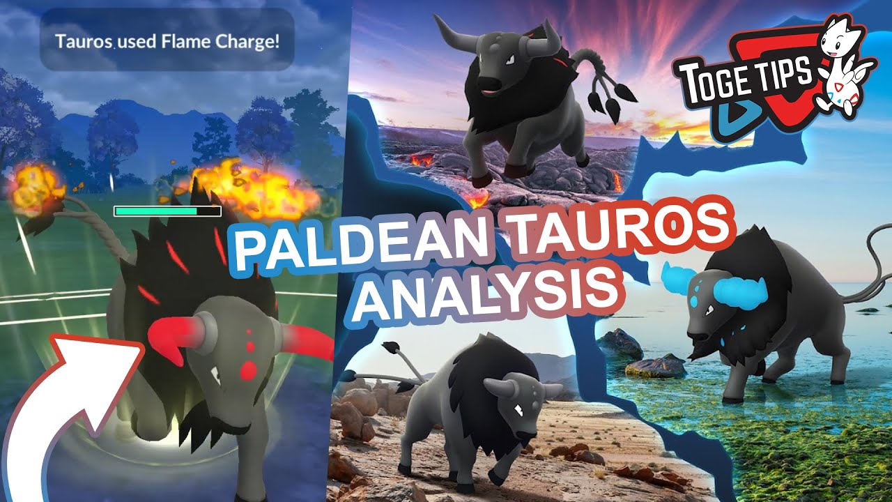 How Good is Paldean Tauros? | Pokémon Go