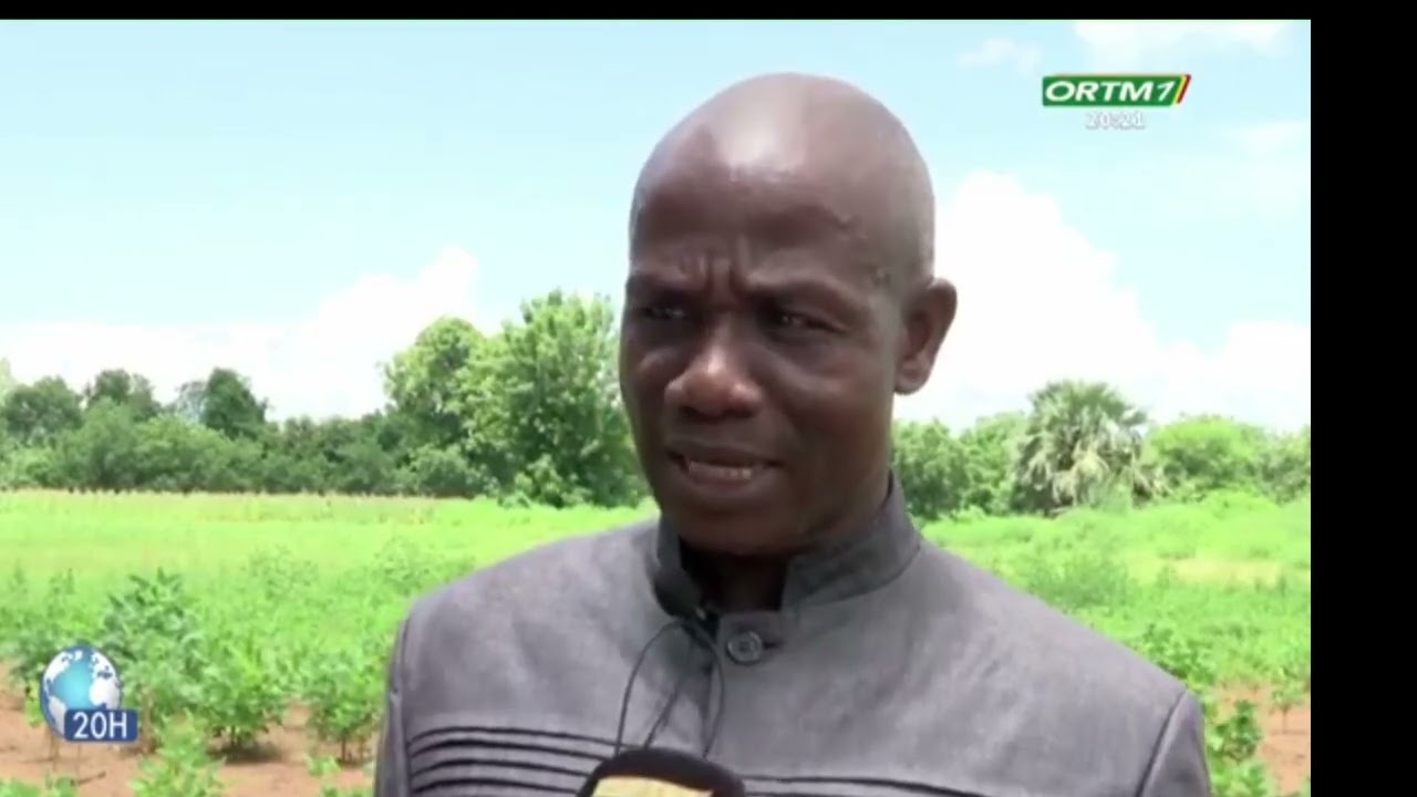Reportage de l'ORTM sur la visite des parcelles d’expérimentations du domaine de l'IPR/IFRA