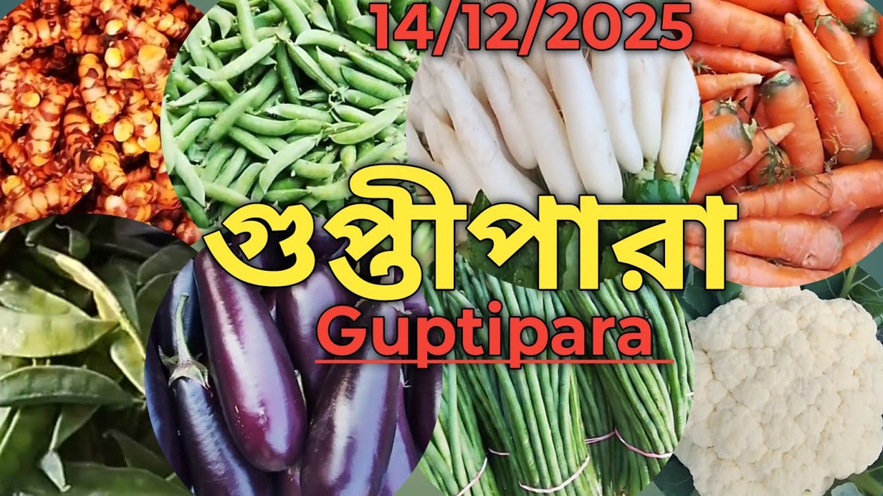 গুপ্তীপারা godown পাইকারি সবজির আড়তে সবজির দাম কেমন?| Guptipara vegitable wholesale market 2025 |