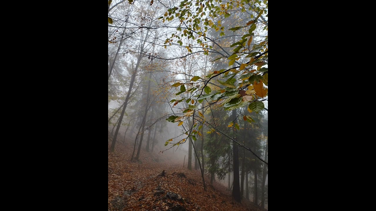 Serra da Lous&atilde; - Fotos