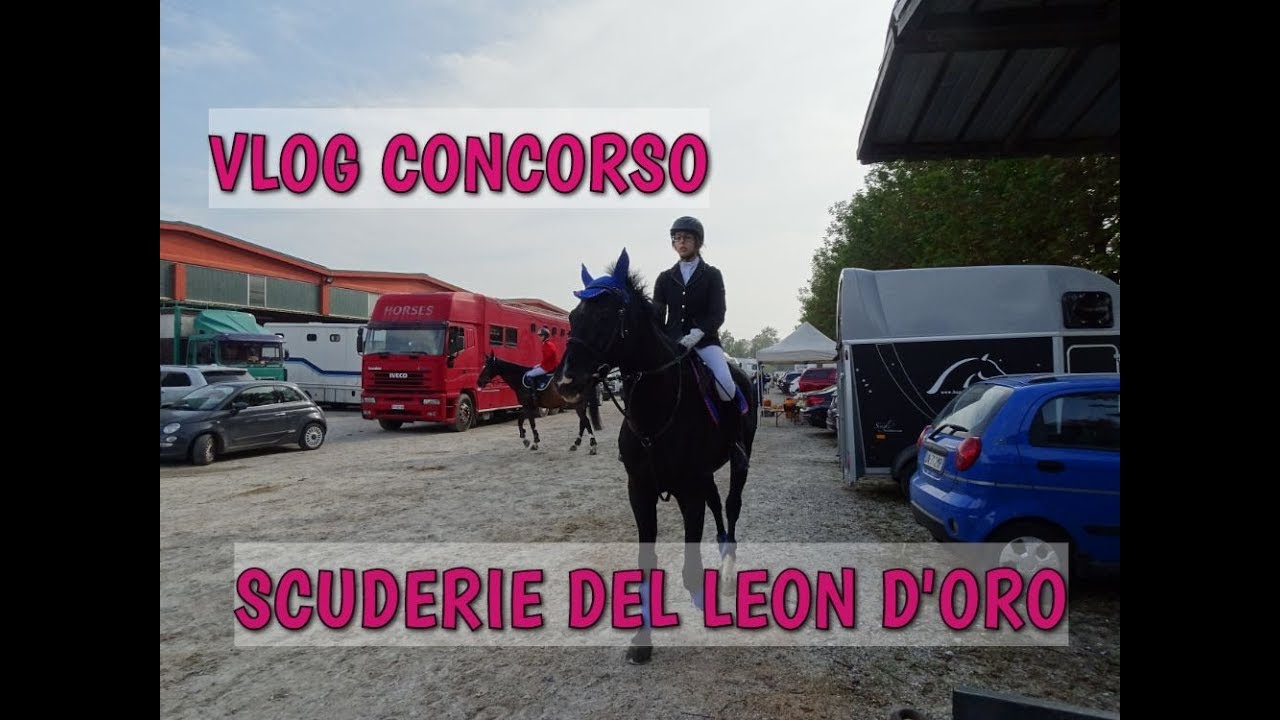 Concorso Scuderie del Leon D'Oro -🥇 Due 1° Posto in Due Giorni! 🥇 | 🐴 HORSE PLANET