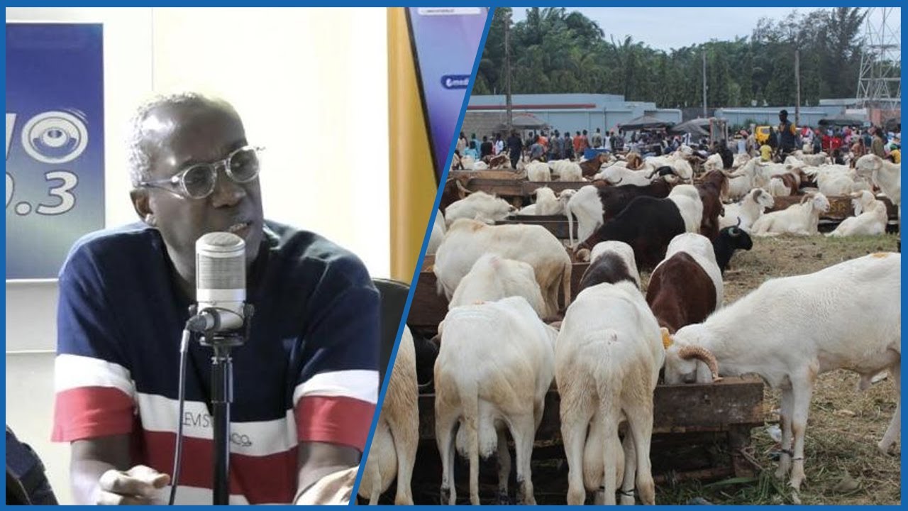 Ibou fall : Au S&eacute;n&eacute;gal la pression sociale est &eacute;norme