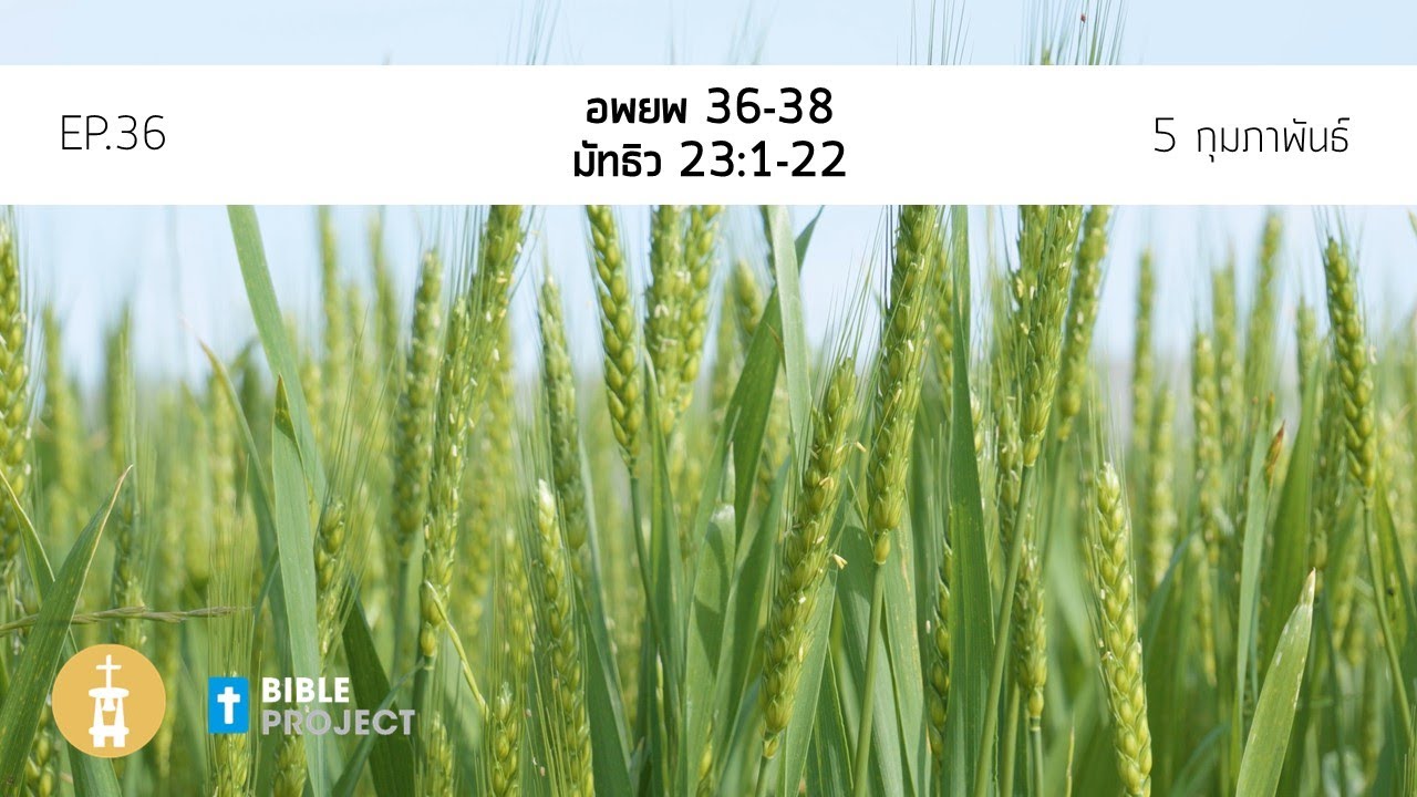Bible Project 365 วันที่ 5 กุมภาพันธ์ EP. 36