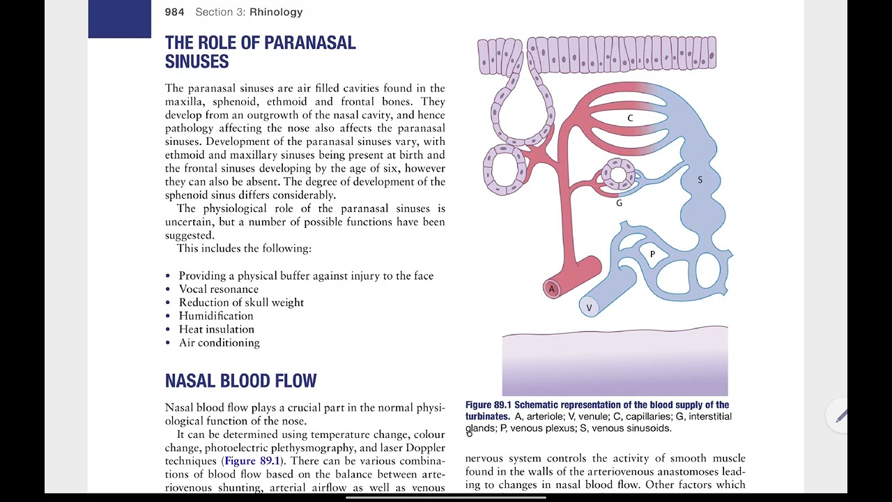 Scott Brown's Rhinology - Physiology of Nose and Paranasal Sinuses 
