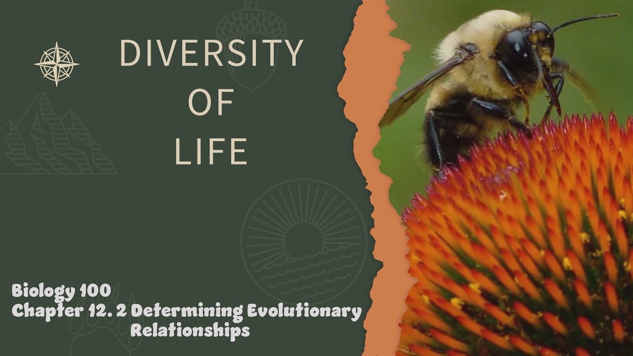 Diversity of Life: Determining evolutionary relationships