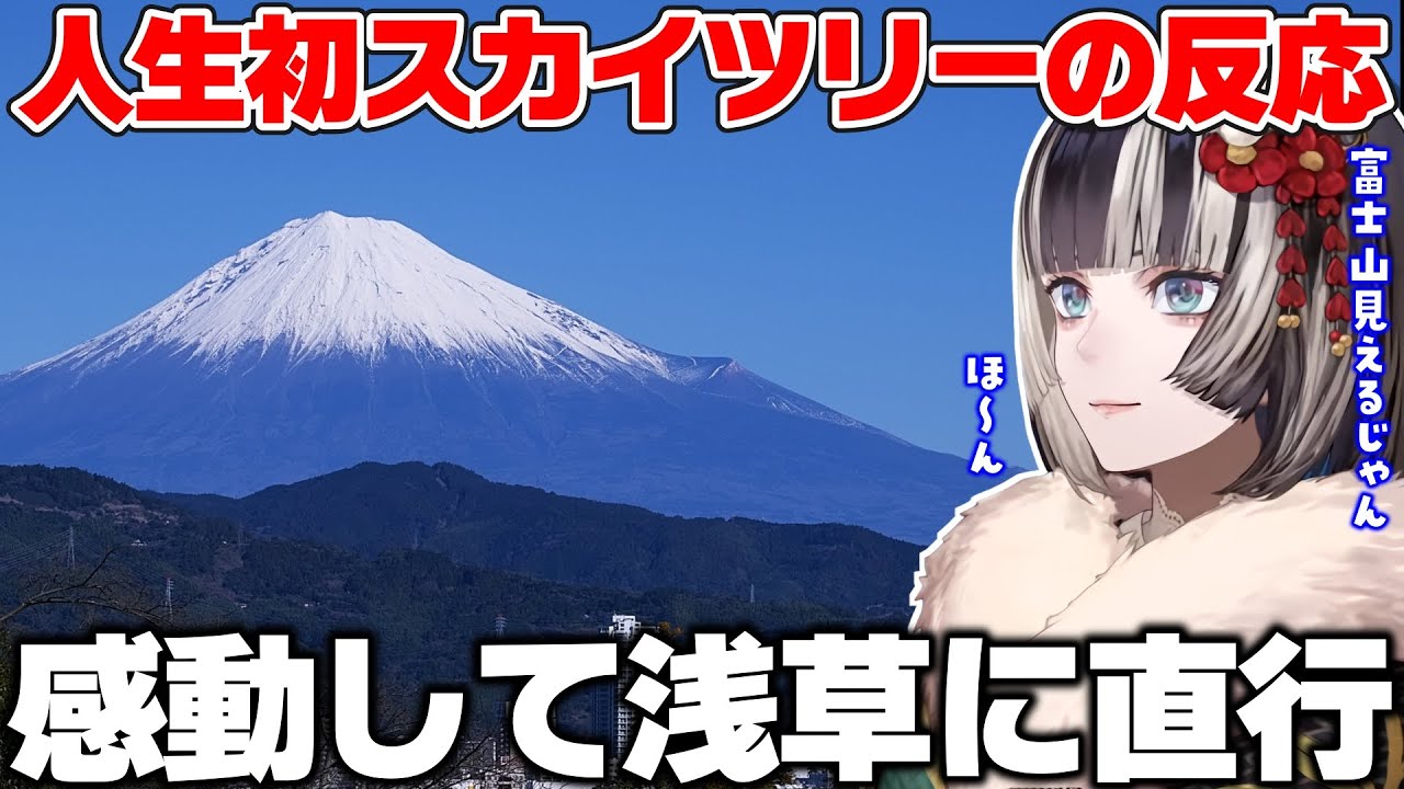 スカイツリーから見た富士山に感動し、そのまま浅草のとある場所に向かうらでん【儒烏風亭らでん/ホロライブ切り抜き】