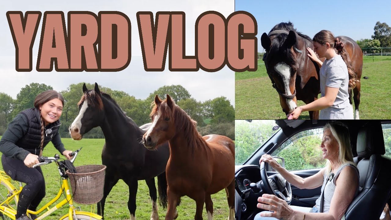 YARD VLOG | HORSES ARE LIVING OUT !!!