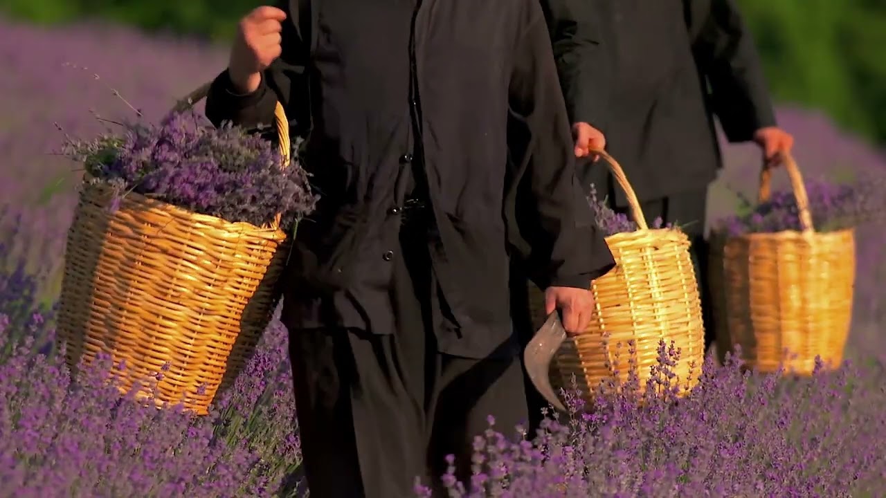 Organic Herbs of the Holy Great Monastery of Vatopedi