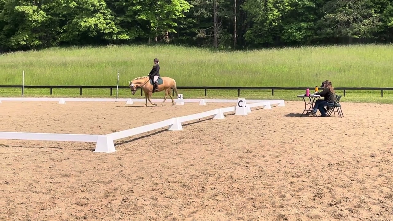 Working Equitation USAWE Novice B dressage test with Fina