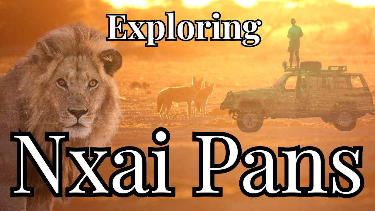 Exploring Nxai Pans National Park Botswana