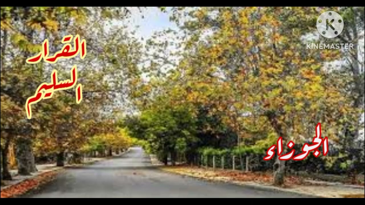 برج الجوزاء. القرار السليم.. 🤔 مبلغ مالي كبير بقيمه اكبر