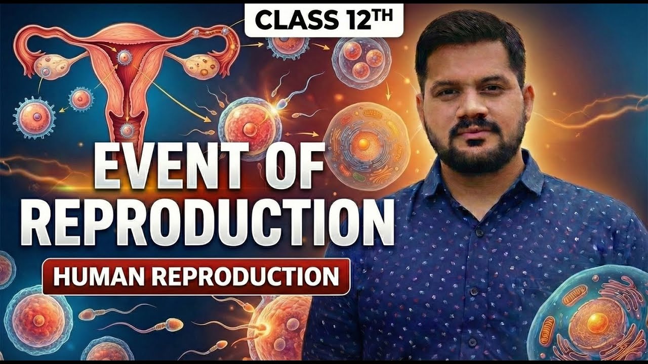 Human Reproduction | Events of Reproduction | Class 12 Biology