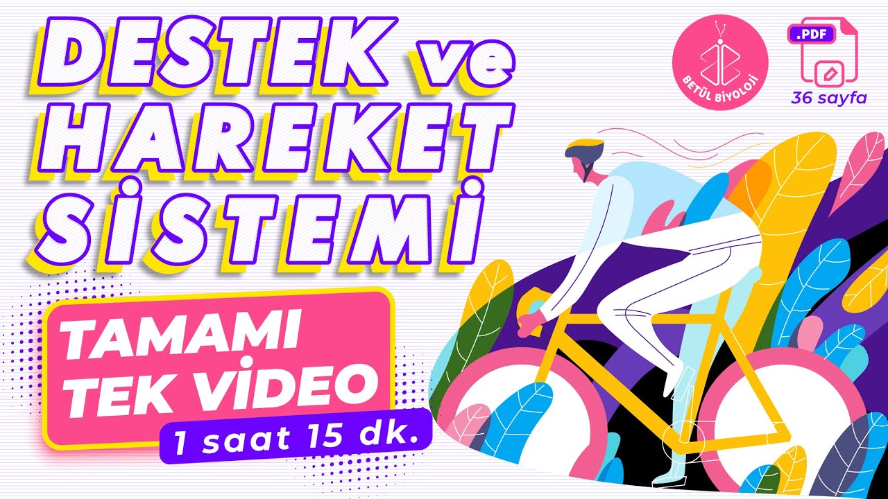 Destek ve Hareket Sistemi Tekrar | TAMAMI TEK VİDEO | AYT Biyoloji Konu Anlatımı