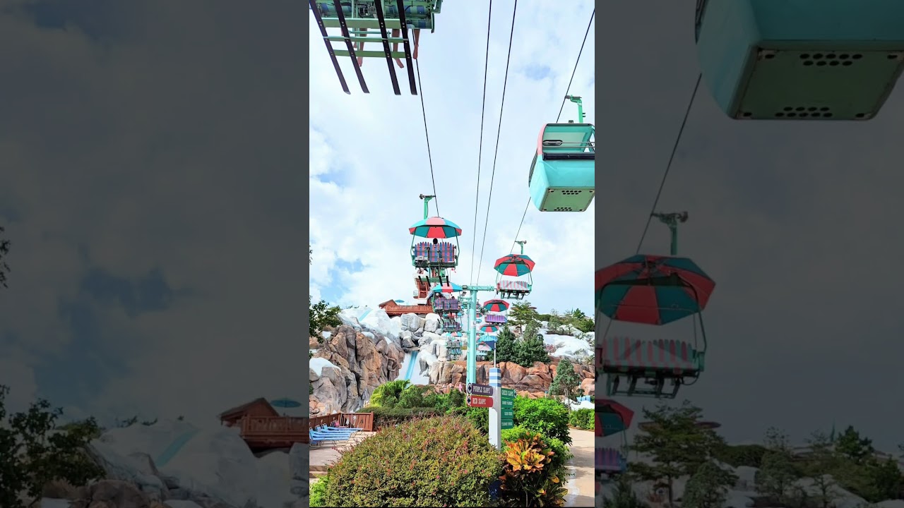 Disney This or That: Typhoon Lagoon vs Blizzard Beach #Disney disneyworld