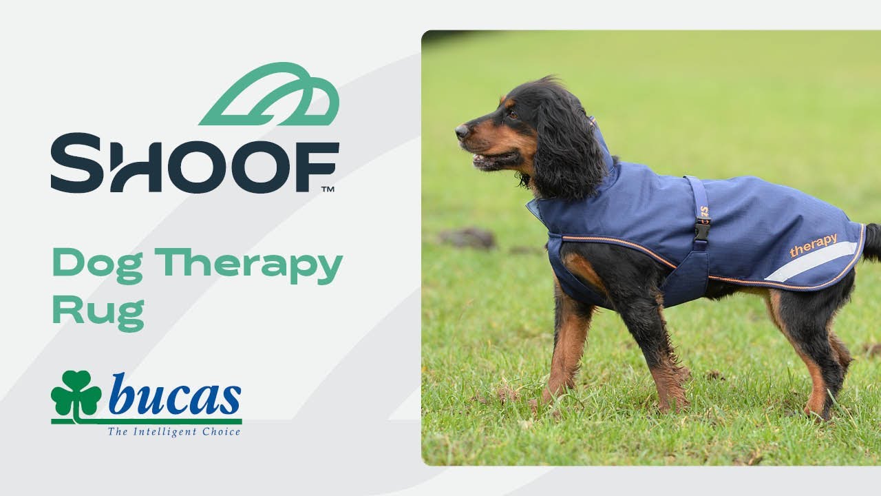 Bucas Therapy Dog Rug