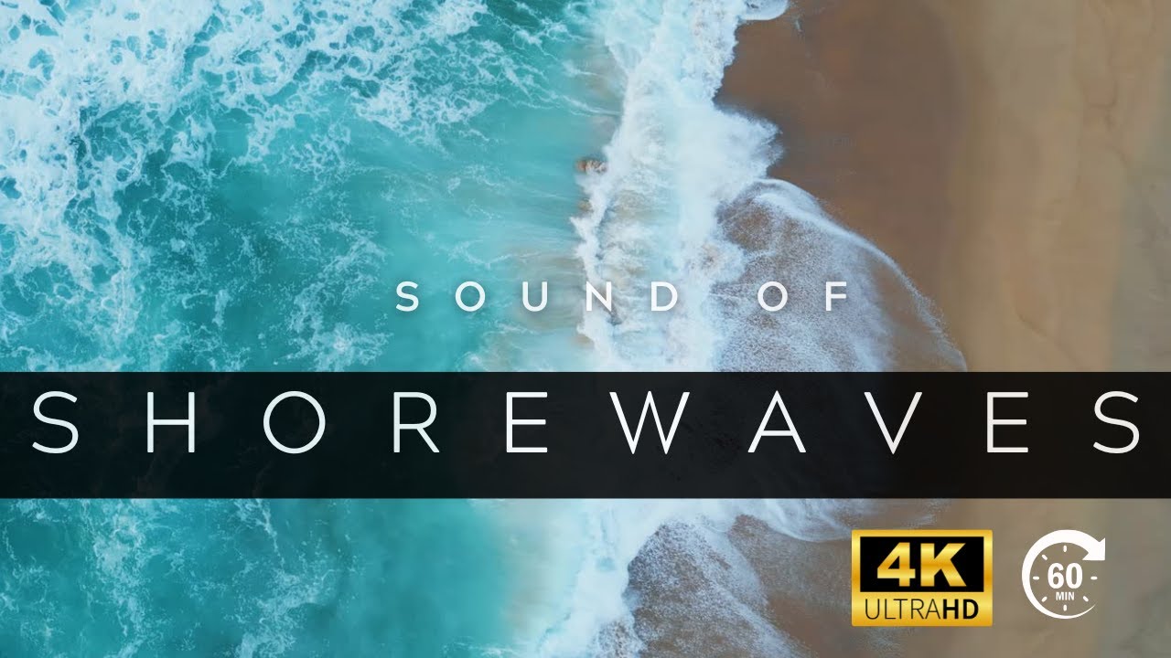 Sound of Shore Waves | Gentle Ocean Waves for Relaxation, Sleep & Meditation