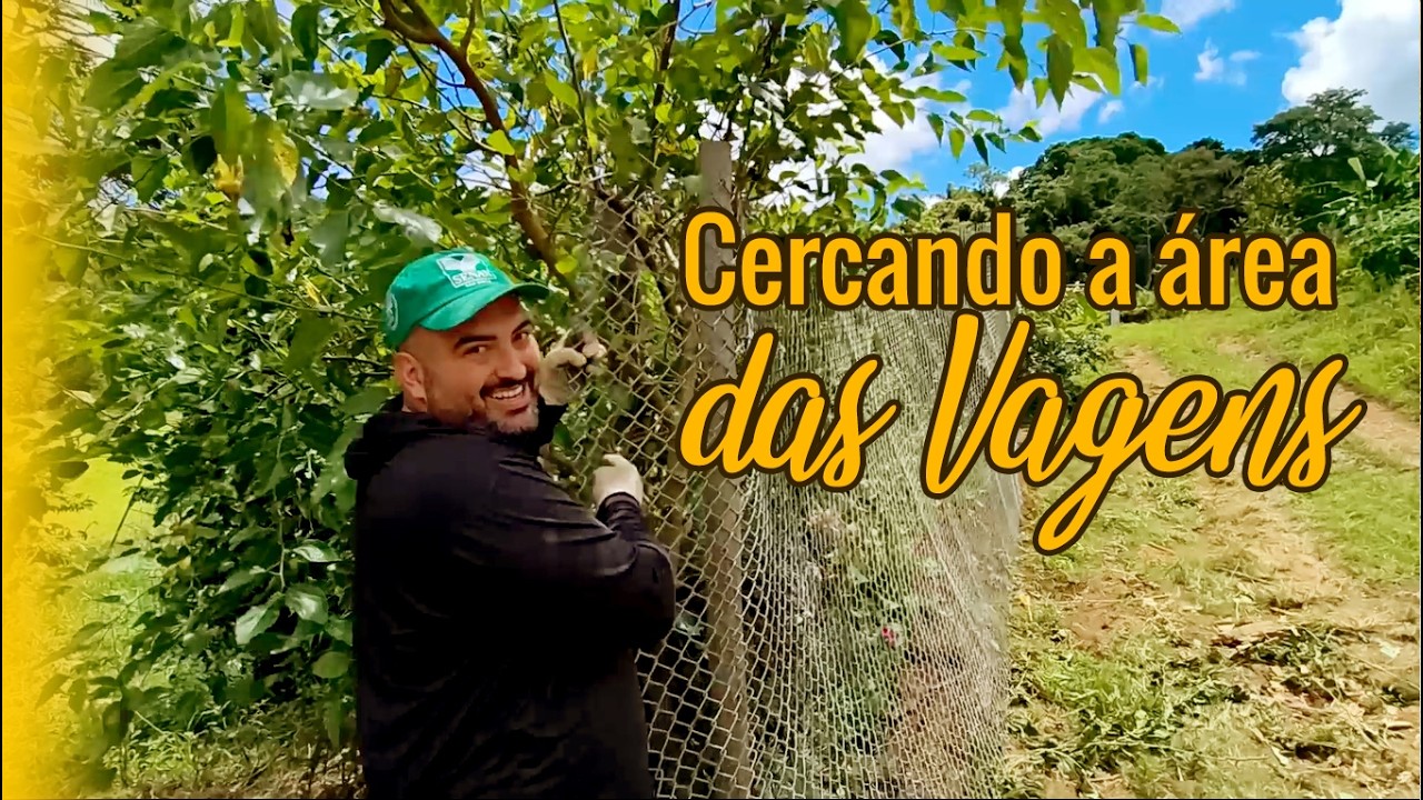 Cercando a horta: alambrados pesados e poda da amoreira!