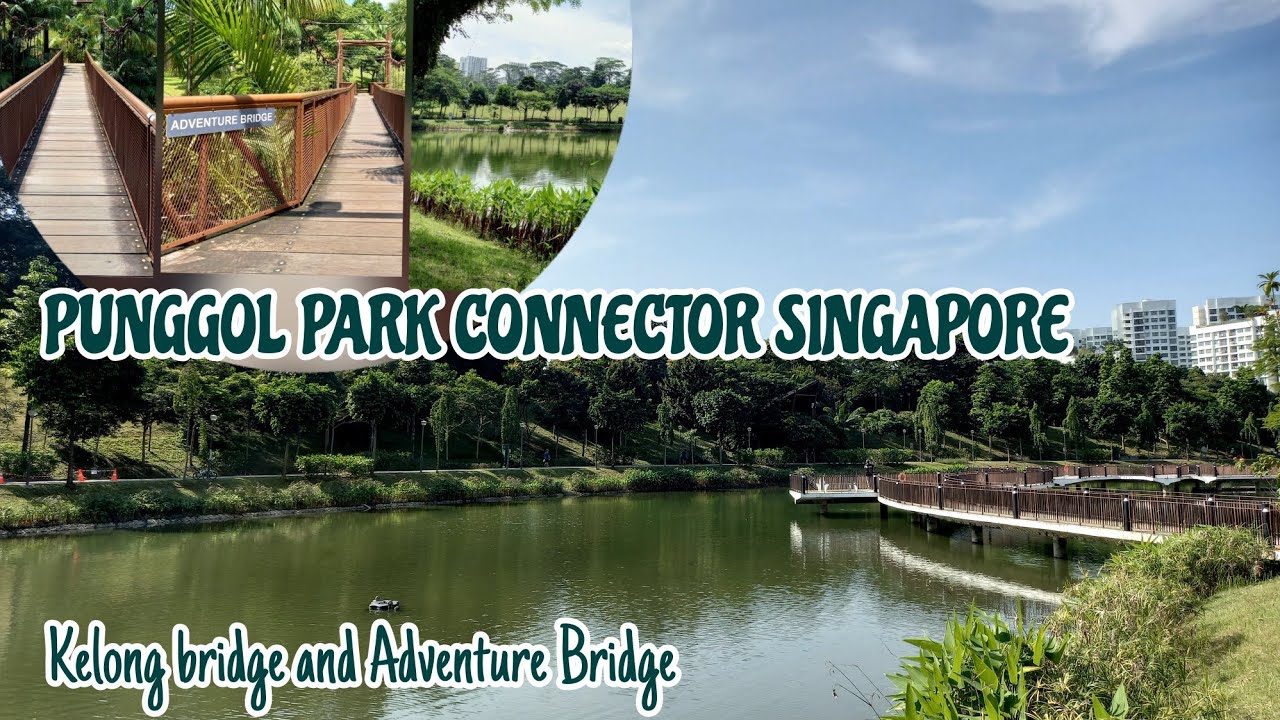 WaterwayView/PunggolCycling/Kelong Bridge/Punggol Riverside Walk Peaceful Nature