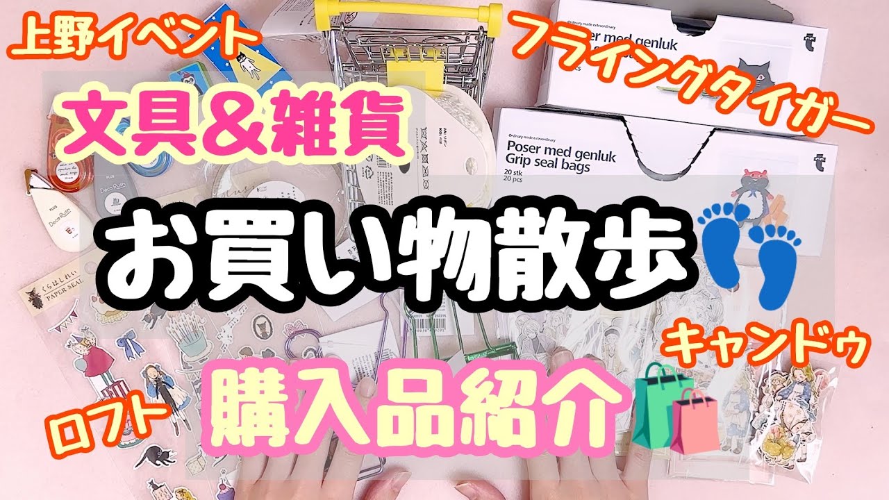 🌞文具＆雑貨巡り👣お買い物散歩✨購入品紹介🛍　～表参道・池袋・上野～