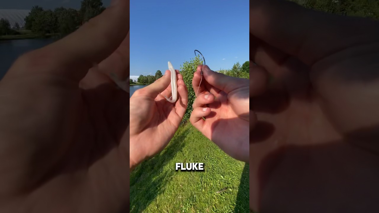 How to Rig a Fluke! 🔥 #shorts