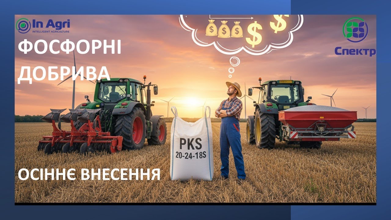 Фосфорні Добрива з ОСЕНІ #12: Як НЕ ВТРАТИТИ гроші? | Покрокова інструкція + Вибір джерел ФОСФОРУ