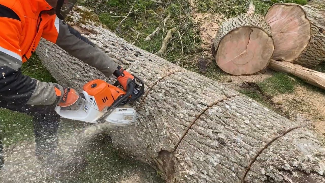 STIHL MS 500i