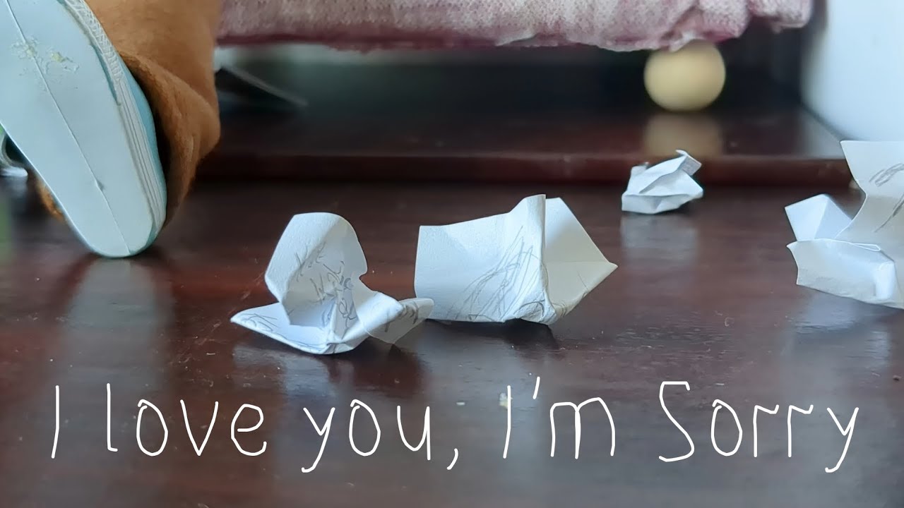 I Love You, I'm Sorry MUSIC VIDEO | Dizzying Heights