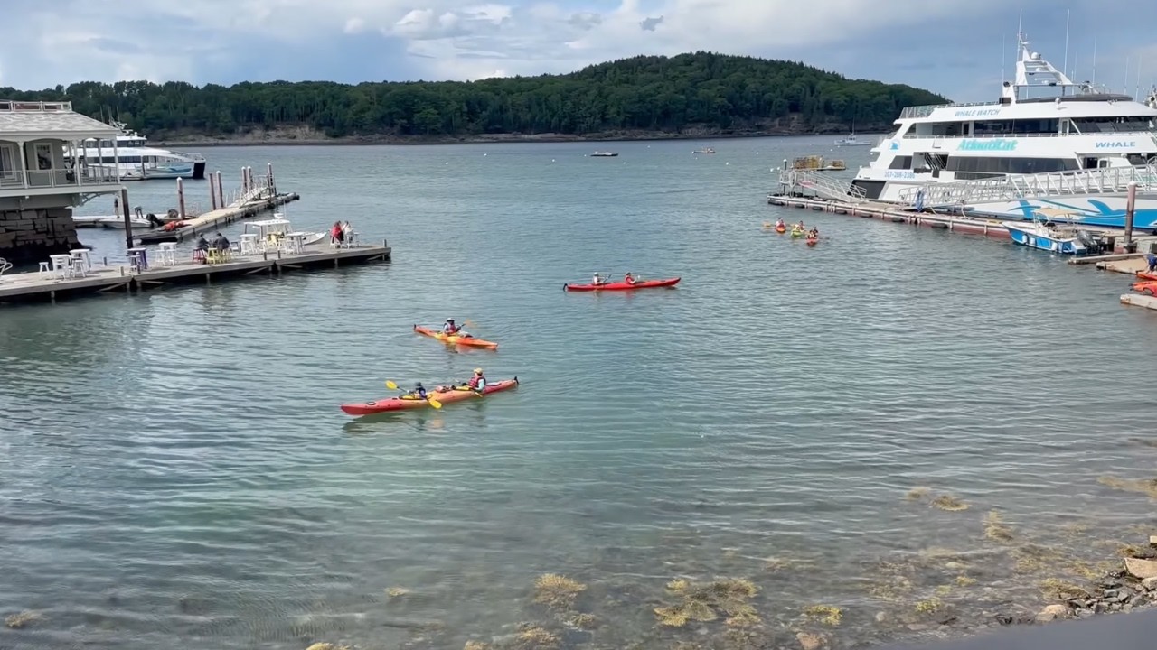 NEW ENGLAND 'SUMMER'