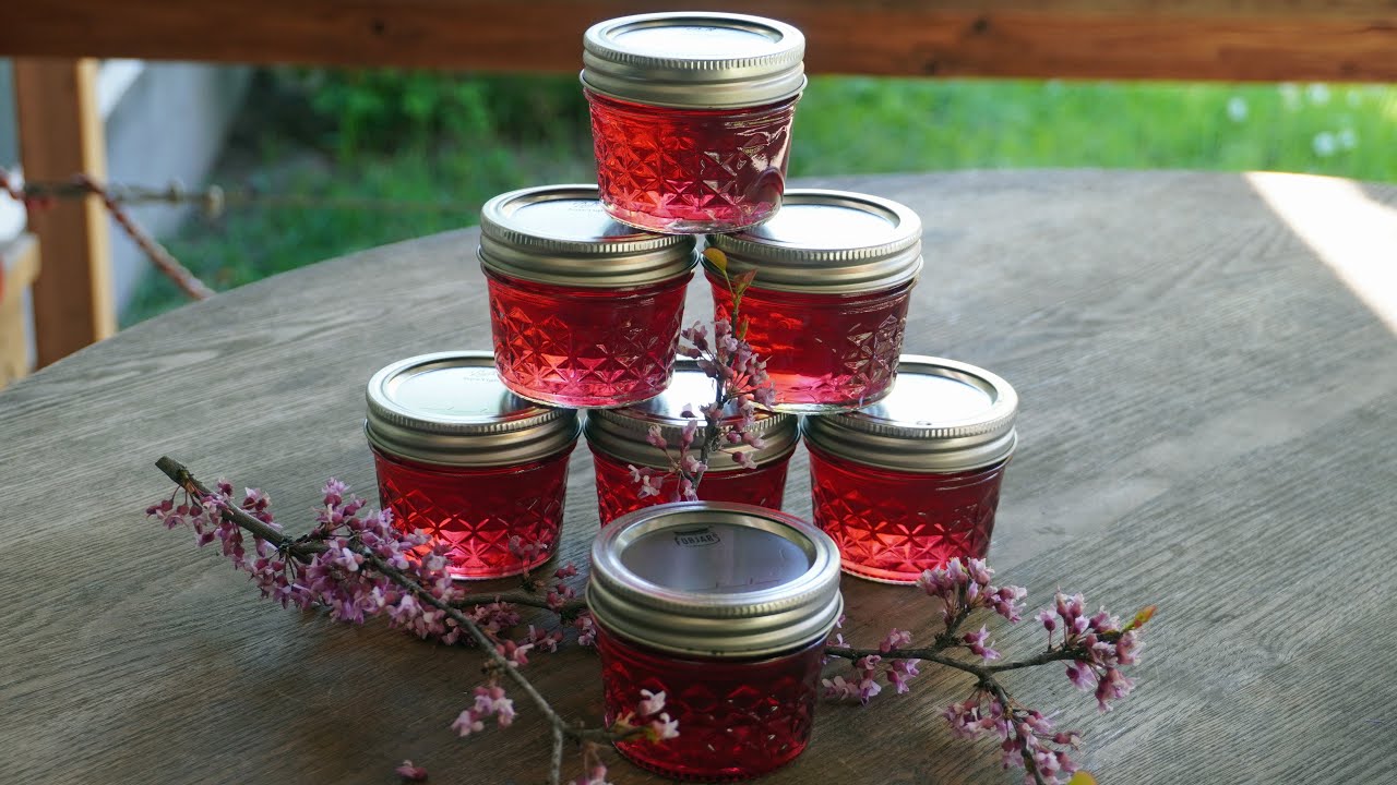 Eastern Redbud Jelly (Foraging The Yard)