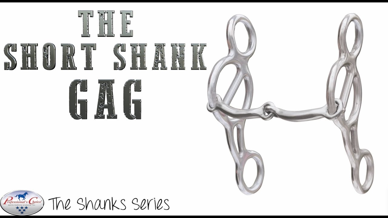 Short Shank Gag  - Bits by Professional's Choice