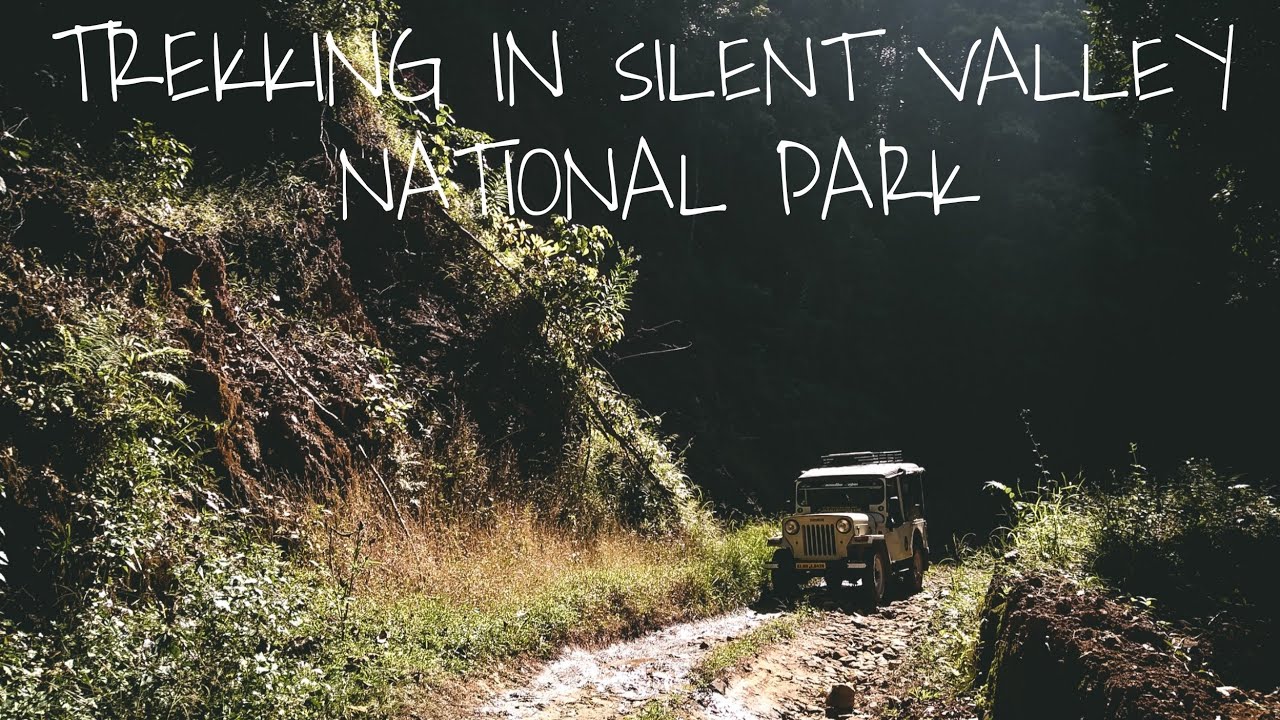TREKKING INTO THE DEEP FOREST OF SILENT VALLEY NATIONAL PARK | SMRITI ANUP😊 |