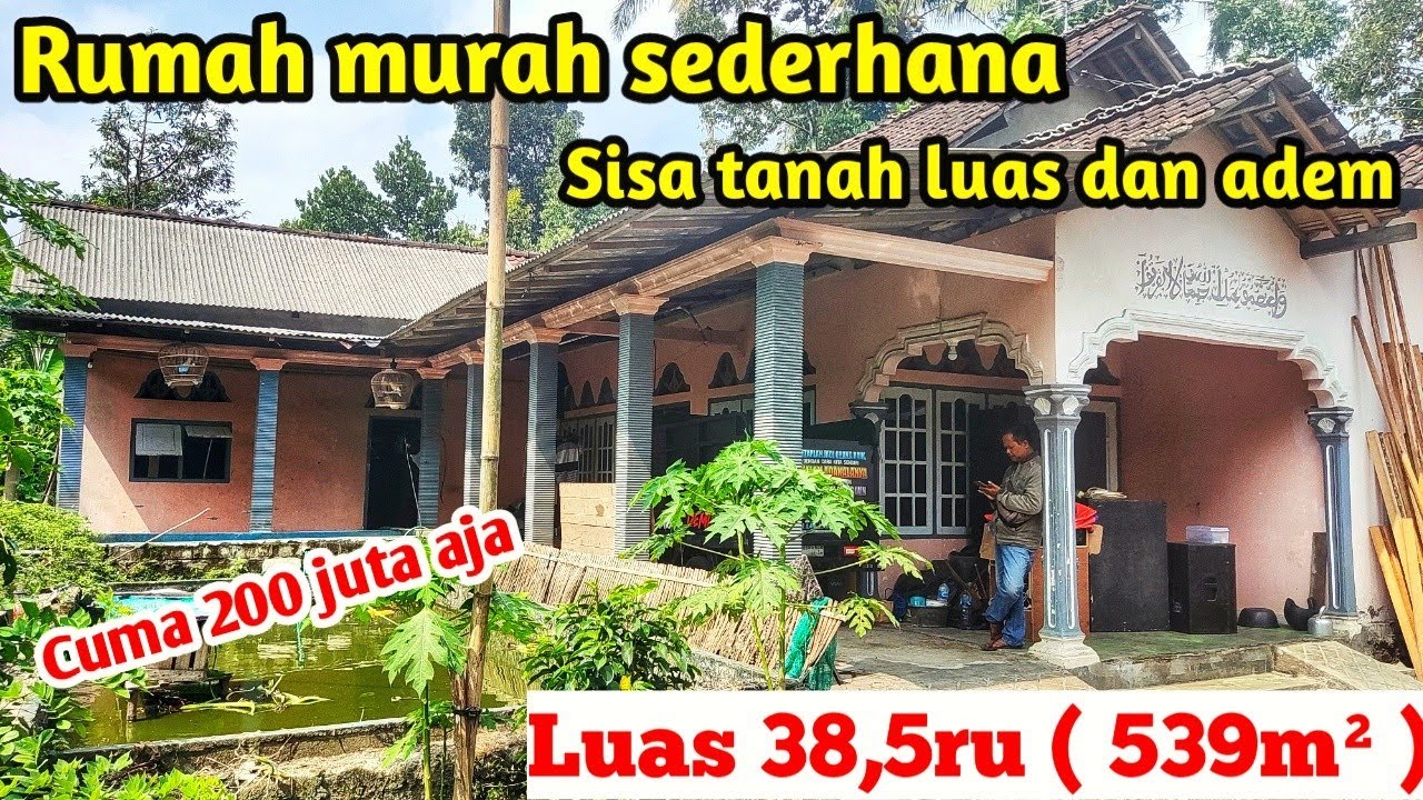 Rumah murah sederhana harga 200 juta sisa tanah luas adem cocok untuk ternak kambing dan ikan hias