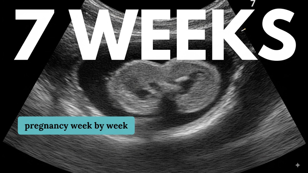 7 недель беременности 🤰 Чего ожидать: изменения для вас и развития ребенка