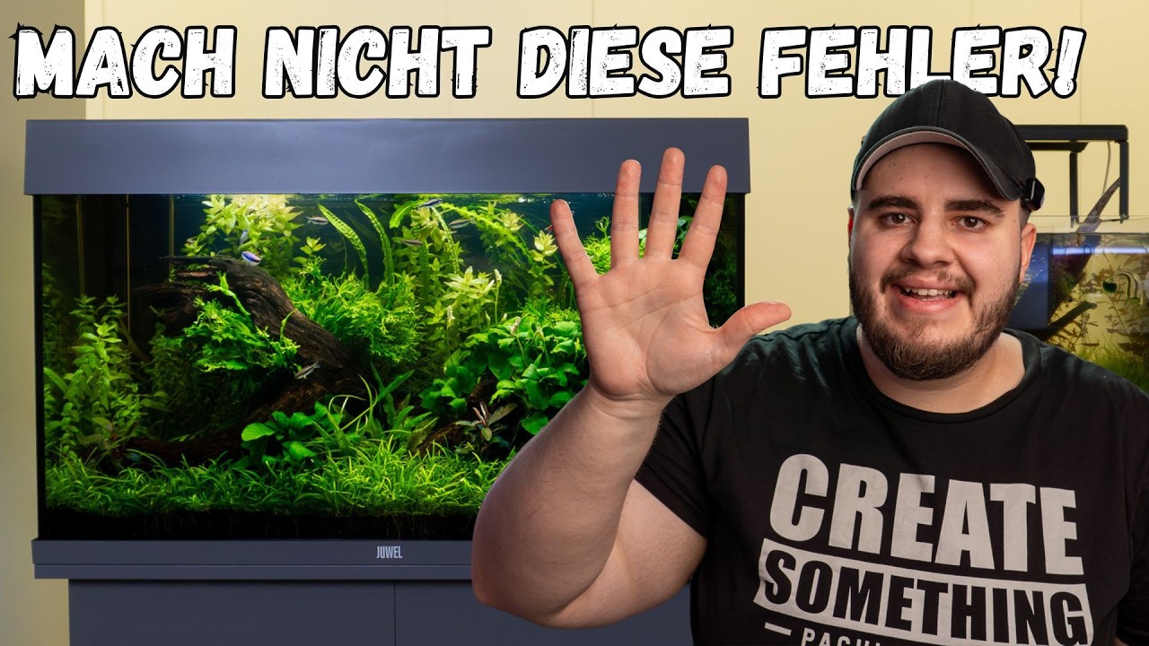 7 Fehler beim Start ins Aquascaping – und wie du sie vermeidest