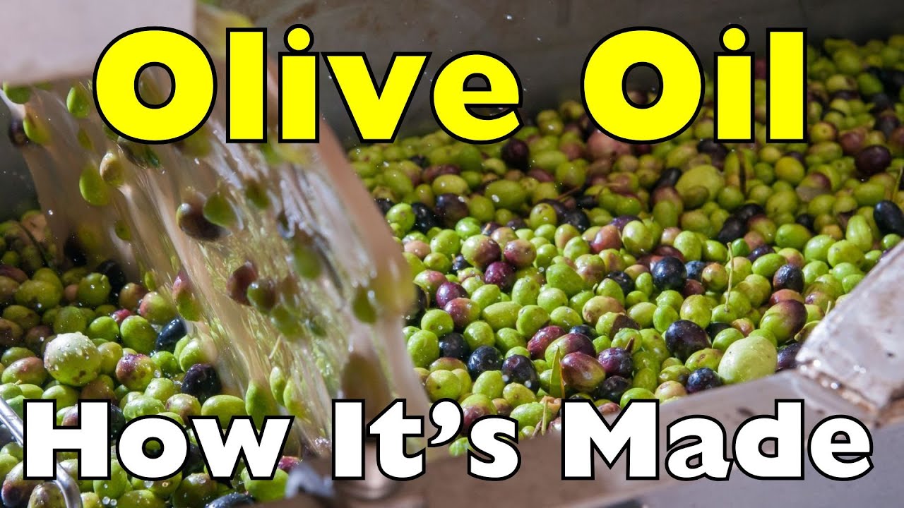 Как производится оливковое масло?