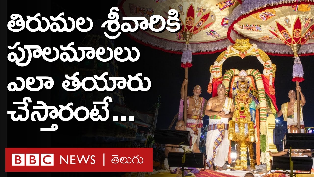 Tirumala: తిరుమల శ్రీవారి కోసం రోజూ ఎన్ని మాలలు తయారుచేస్తారో, వాటి పేర్లేమిటో  తెలుసా | BBC Telugu