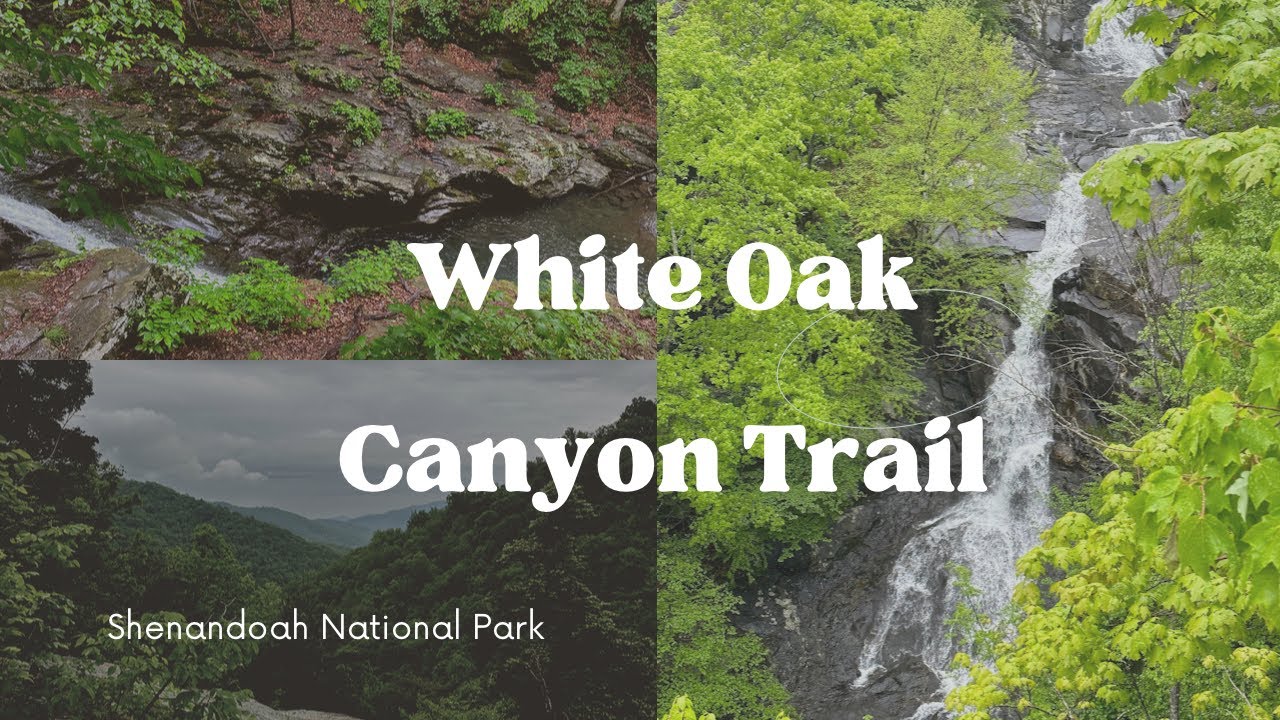 Hiking White Oak Canyon Trail | Shenandoah National Park | Virginia