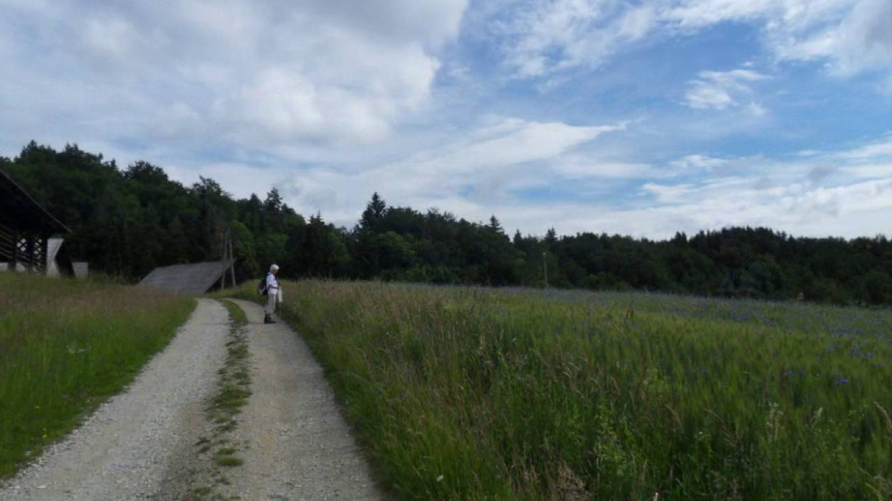 Zabukovje in Dobje - 13. 6. 2016
