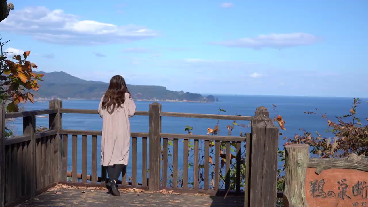 【紅葉・絶景】北山崎　鵜の巣断崖　道の駅たのはた　思惟大橋コミュニティ公園の紅葉　岩手県下閉伊郡田野畑村