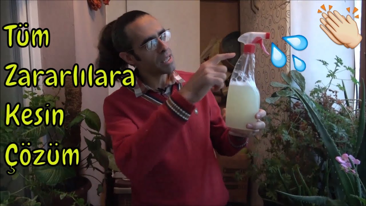 Çiçek Hastalık ve Zararlıları İle En Kolay Mücadele