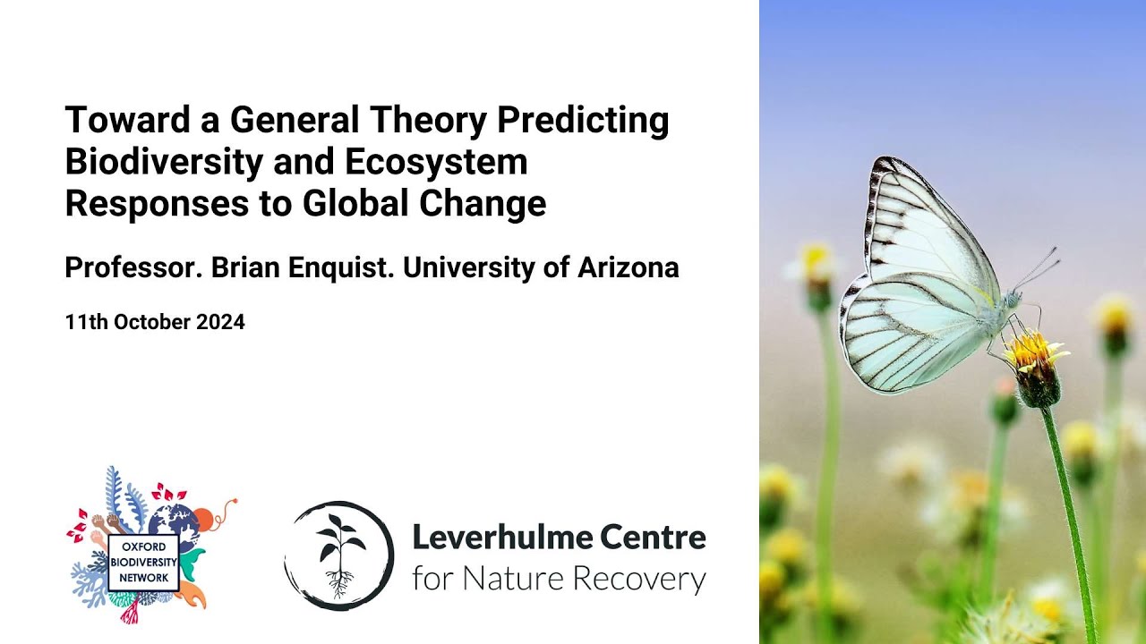 Toward a General Theory Predicting Biodiversity and Ecosystem Responses to Global Change