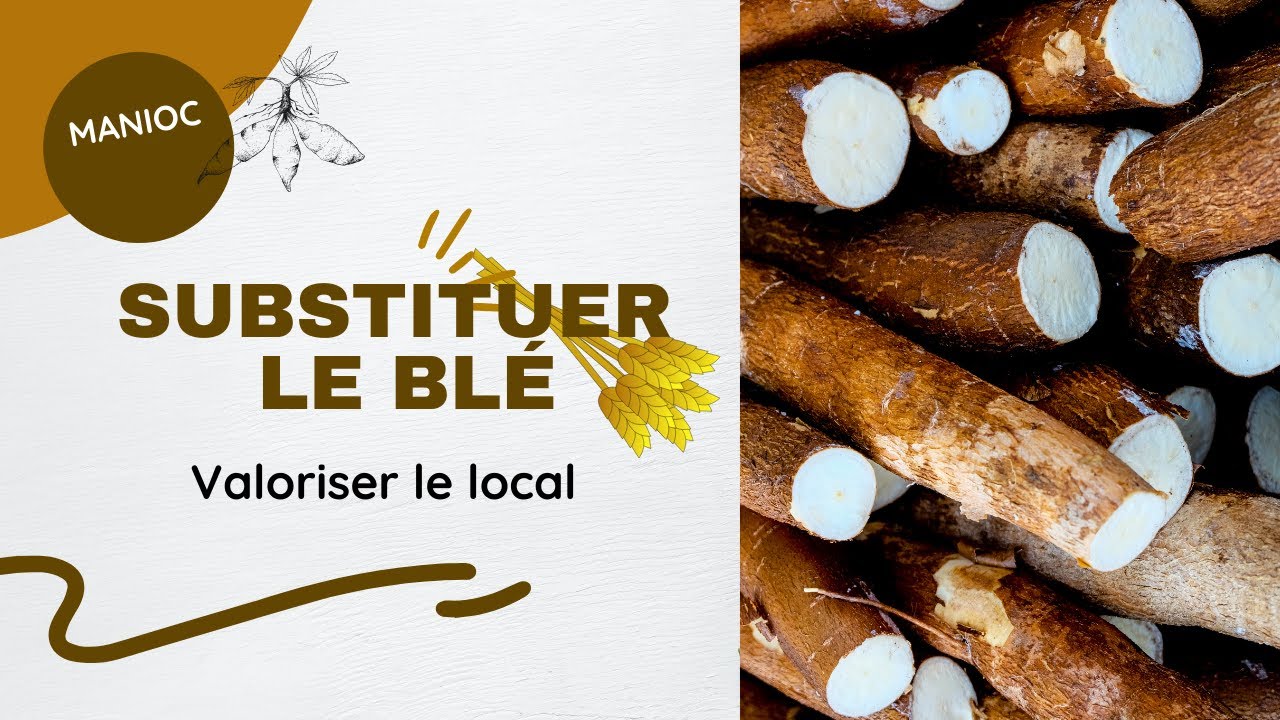 Comment faire du pain avec du manioc