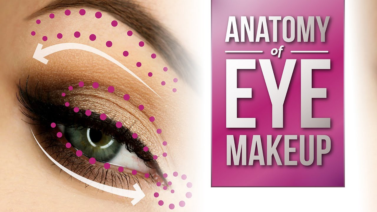Anatomy of Eye Makeup | Pretty Smart