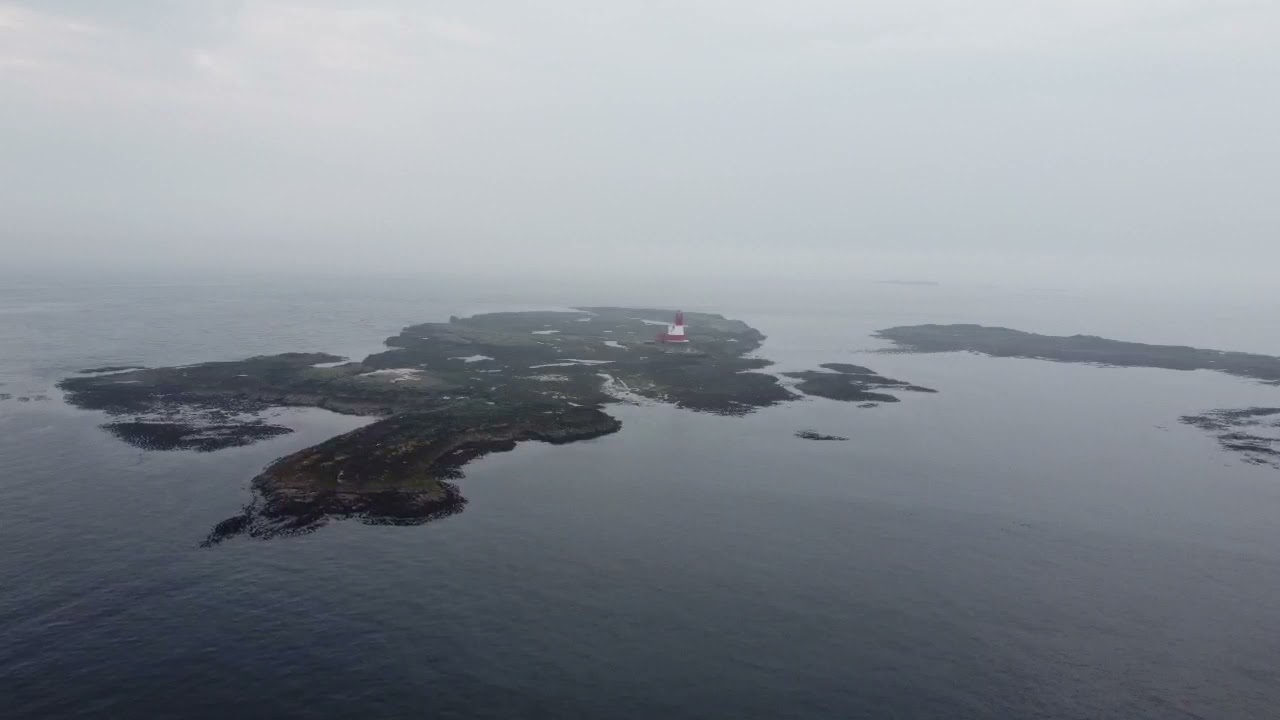 Outer farne islands. By drone.