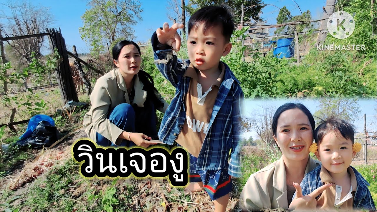 น้องวินเนอร์เจอคาบงู อยู่สวนผักแม่ตุ้ย 17 กุมภาพันธ์ ค.ศ. 2026