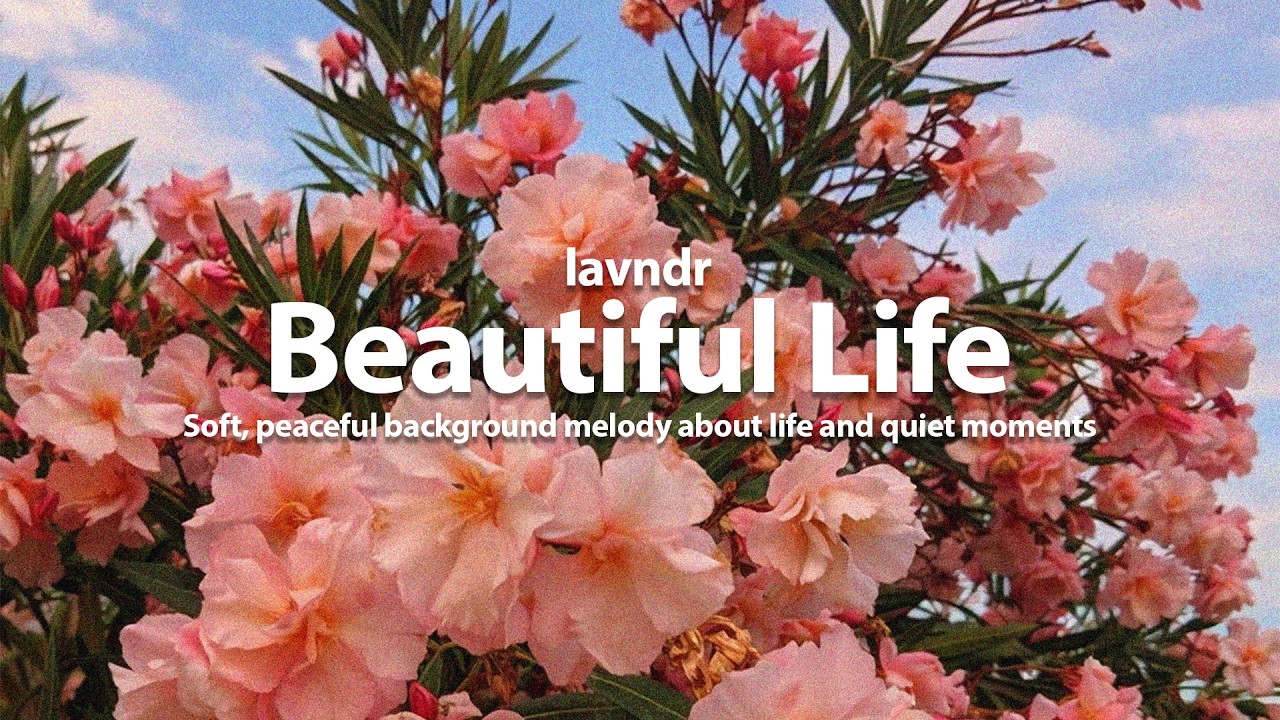 Lavndr – Beautiful Life | Soft, peaceful background melody about life and quiet moments