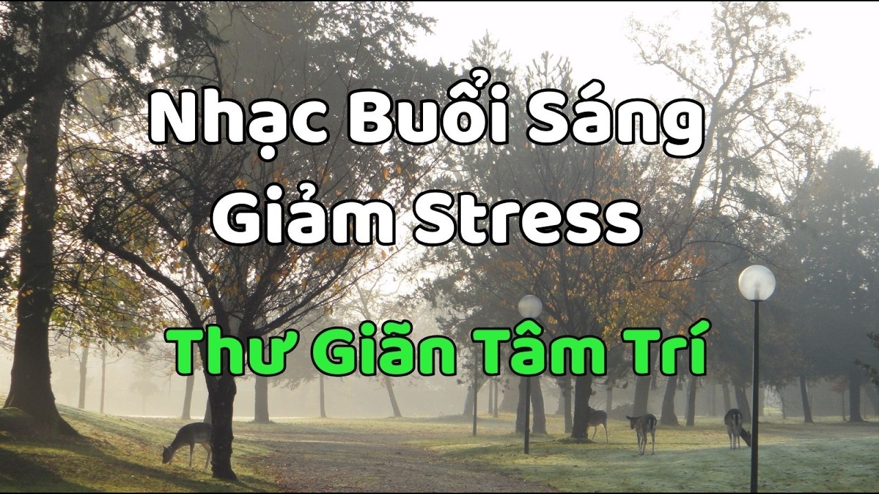 Nhạc Buổi Sáng Giảm Stress Hiệu Quả – Thư Giãn Tâm Trí, Nạp Năng Lượng Mỗi Ngày