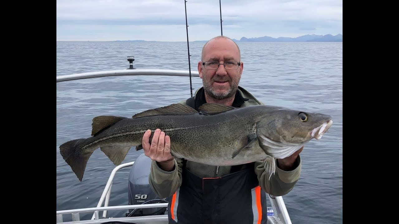 Mefjord Brygge fishing 2018 part 1
