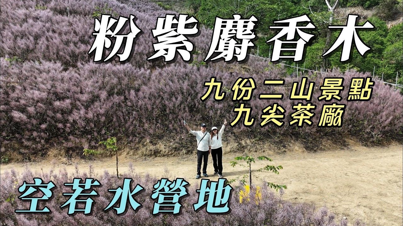 『旅遊/車泊』No.115 粉紫夢幻麝香木/九尖茶廠/空若水營地(二訪)海拔750公尺/九份二山地震紀念園區/傾斜屋/震爆點/開箱的月潭捷徑金天巷/空拍/VW加州號露營車